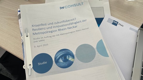 Resilienz Wirtschaft