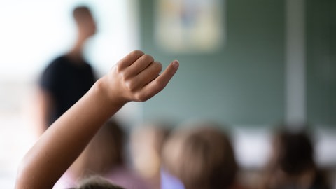Schülerinnen und Schüler einer Grundschule im Unterricht (Symbolbild). In der Gräfenauschule in Ludwigshafen mussten 2023 rund 35 die erste Klasse wiederholen.