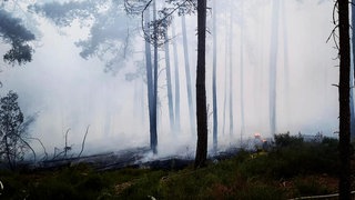 Waldbrand am Ungeheuersee