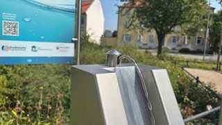 Ein neuer Trinkwasserbrunnen in Frankenthal. Bei Hitze sind vor allem Kinder und ältere Menschen auf ausreichend Wasser angewiesen.