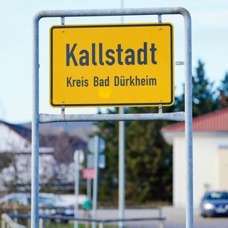 Aus dem Weindorf Kallstadt im Landkreis Bad Dürkheim stammen die Vorfahren des US-Präsidenten Donald Trump. 