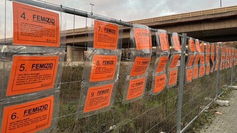 Tag gegen Gewalt an Frauen Plakataktion in LU