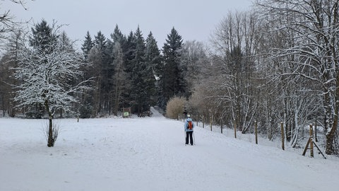 Winterbilder aus der Pfalz