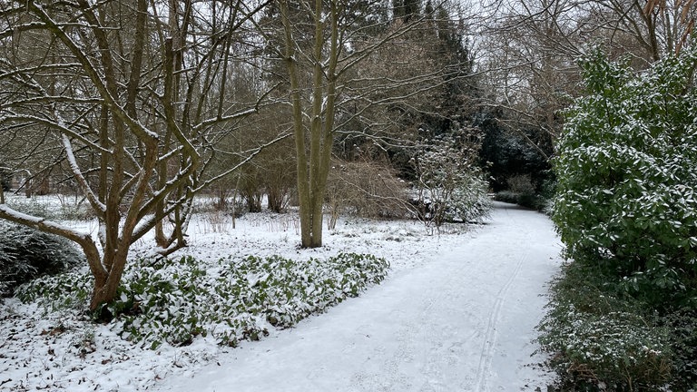 In der Pfalz liegt viel Schnee. Straßen, Wege und Pflanzen sind bedeckt damit - Kinder spielen mit dem Schnee.