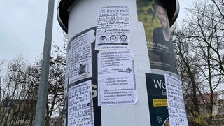 Das Foto zeigt Plakate, die auf einer Litfaßsäule geklebt wurde. Ein Mann in Landau muss sich wegen solcher Plakate nun erneut vor Gericht verantworten. Er ist wegen solcher Plakate bereits mehrfach verurteilt worden.