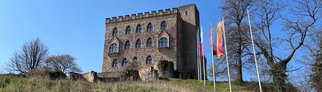 Das Hambacher Schloss in Neustadt.