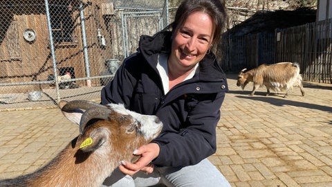 Das Bild zeigt Christina Schubert, Zooverwalterin in Landau, gemeinsam mit einer Ziege. Der Zoo Landau brütet Eier von Kiebitzen aus. Der Vogel ist in Rheinland-Pfalz bedroht.