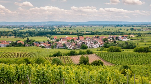 Für viele Urlauber könnte die Pfalz im Sommer ein attraktives Urlaubsziel werden. 