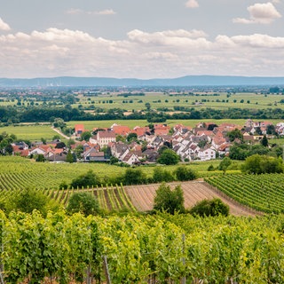 Für viele Urlauber könnte die Pfalz im Sommer ein attraktives Urlaubsziel werden. 