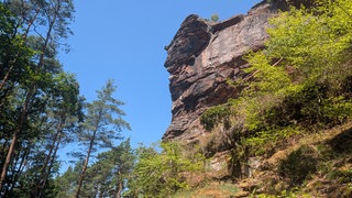 Der Drachenfels im Pfälzerwald