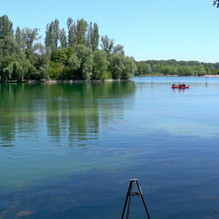 Der Mann, der am Samstag beim Baden im Binsfeldsee in Speyer plötzlich untergegangen war, ist inzwischen tot geborgen worden. 