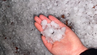 Jemand hält große Hagelkörner in der Hand. Ein Sturm hat erheblichem Schaden beim Weingut Bernhart in Schweigen-Rechtenbach angerichtet.
