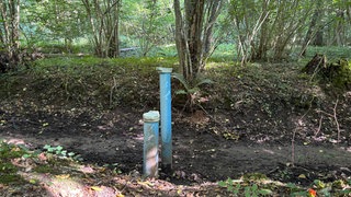 Grundwassermangel an Messstelle in Landau gemessen