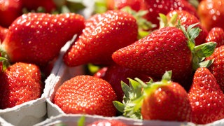Erdbeeren liegen in einer Schale (Symbolbild). Die Erdbeersaison 2026 in der Pfalz war herausfordernd.