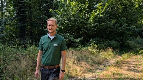 Samuel Geiger, der Forstrevierleiter Haingeraide im Forstamt Haardt macht sich Sorgen wegen Trockenheit im Pfälzerwald