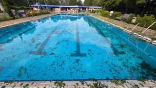 waldschwimmbad-steinfeld