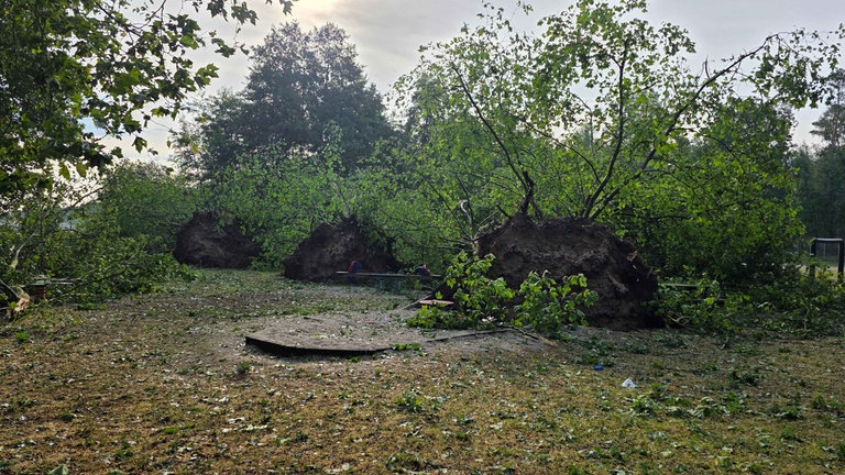 Eine Landschaft fast wie im Urwald. Der Sturm am 16. Juli hat einiges mit sich gerissen.