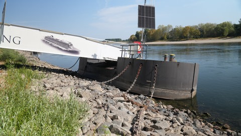 Schiffsanleger in Speyer liegen auf dem Trockenen