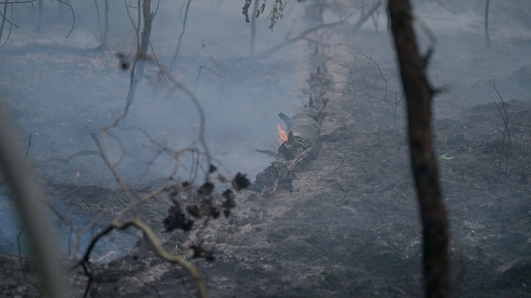 Ein Stück Holz brennt noch. Laut der Polizei hatte der Reifen eines Lkws Feuer gefangen und den Waldbrand ausgelöst.