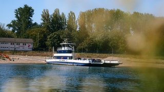 Rheinfähre Altrip bei Niedrigwasser