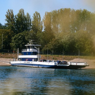 Rheinfähre Altrip bei Niedrigwasser