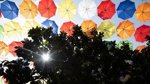 Schirme der Aktion "Umbrella Sky" hängen in der Altstadt von Mainz. Die Stadt überlegt, wie sie sich auf den Klimwandel einstellen kann
