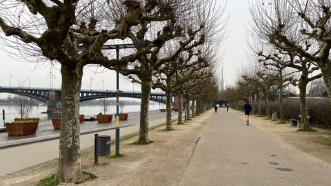 Die Rheinuferpromenade in Mainz bietet genug Platz für Fußgänger.