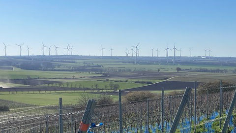 Viele Windräder stehen bereits im Selztal