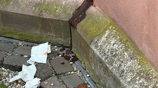 Im Garteb der  Kirche hat jemand sein Geschäft verrichtet. 