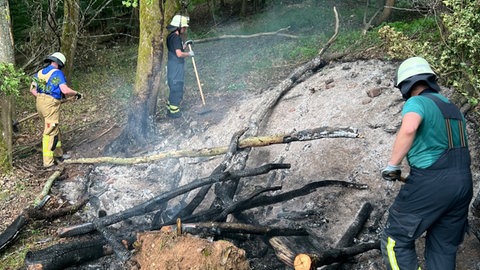 Einsatzkräfte der Freiwilligen Feuerwehr Bad Kreuznach löschen einen Brand im Stadtwald Bad Kreuznach. 