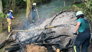 Einsatzkräfte der Freiwilligen Feuerwehr Bad Kreuznach löschen einen Brand im Stadtwald Bad Kreuznach. 
