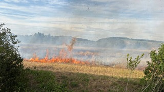 Innerhalb kurzer Zeit stand eine Fläche von vier Fußballfeldern in Flammen. Erntearbeiten hatten den Brand ausgelöst.