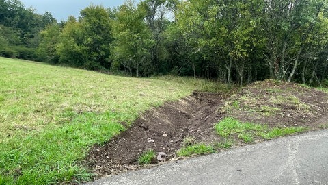 Neben dem Asphaltweg, der in den Wald bei Kirn-Sulzbach führt, sind größere Rinnen ausgehoben worden, um das Wasser aufzunehmen.