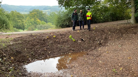 Revierleiter Tobias Helfenstein (links) vor einer Mulde bei Bärenbach, in der sich bei einem heftigen Regen Ende September wie geplant das Wasser gesammelt hat.