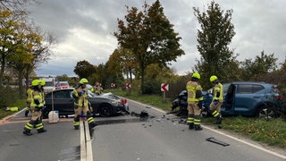 Zwei demolierte Autos stehen nach einem Unfall auf der Landstraße: Eine Hornisse soll schuld sein am Zusammenstoß zweier Autos bei Worms. 