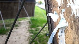 Von einem Ständer ist ein Wahlplakat abgerissen worden. In Budenheim sind fast 100 Plakate komplett geklaut worden.