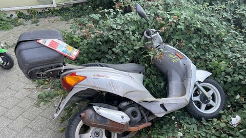 Die Mainzer Polizei hat gestohlene Motorroller in einem Gebüsch und in einem Graben. (Symbolbild)