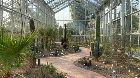 Eines der neuen Gewächshäuser mit Kakteen im Botanischen Garten Mainz.