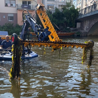 Das Mähboot schneidet unter Wasser das Laichkraut ab.   