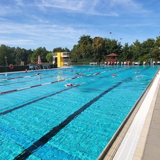 Das 50-Meter-Becken im Freibad in Gimbsheim