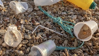 Plastikbecher liegen am Ufer eines Flusses.