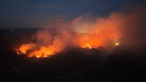 Waldbrand am Rotenfels: Flammen lodern im Wald vor dem Fernmeldeturm Bad Kreuznach auf dem Schanzenkopf in einem Naturschutzgebiet bei Traisen.
