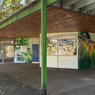 Das Vogelhaus im Mainzer Stadtpark muss wegen Schimmelbefalls geschlossen werden. Alle Vögel müssen raus. 