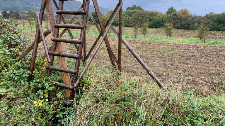 Ein Jagd-Hochsitz steht an einem Kartoffel-Feld. Landwirte wünschen sich, dass mehr Wildschweine in Trier-Zewen geschossen werden, da sie Schäden anrichten.