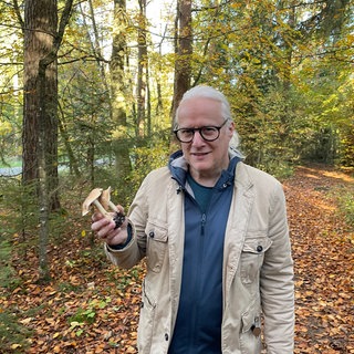 Thomas Regnery zeigt einen Rettichfälbling. Der Pilz ist nach seiner Farbe benannt und nach Rettich: Denn er riecht danach. Gegessen werden sollte er auf keinen Fall, da er giftig ist.
