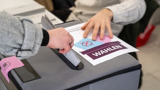 Die CDU hat alle Wahlkreise in der Region Trier gewonnen. Sieben Politikerinnen und Politiker vertreten die Region künftig im Bundestag. 