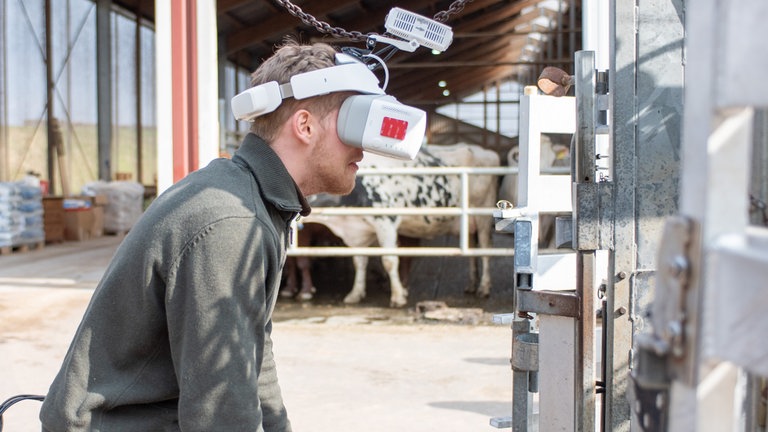 Die meisten Landwirte empfinden den Gang durch den Klauenstand als sehr unangenehm. Obwohl groß genug für eine Kuh, spüren sie eine beklemmende Enge. 