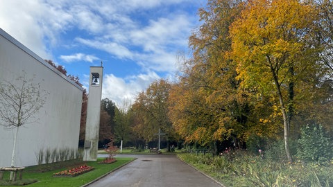 Auf dem Hauptfriedhof wurden vor der Gedenktafel am Baumgrabfeld Blumengestecke, Laternen und persönliche Gegenstände entwendet.