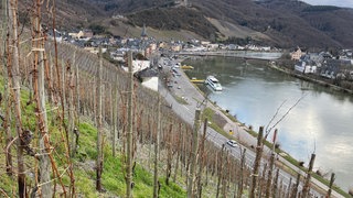 Das Moselstädtchen Bernkastel-Kues ist geprägt vom Weinbau. Viele renommierte Weingüter haben Anbaugebiete in der Gegend. 