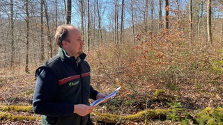 Ein Forstreferendar im Wald.